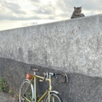 Thumbnail of post image 032