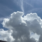 Thumbnail of post image 060